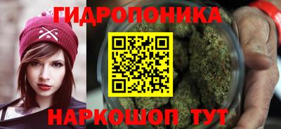 дмт Новодвинск